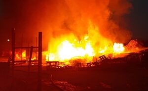 Güvercin Bakarası Alev Alev Yandı