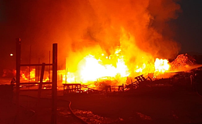 Güvercin Bakarası Alev Alev Yandı