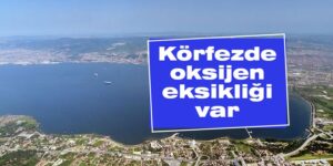 Körfezde oksijen eksikliği var