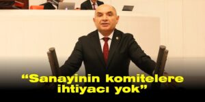 “Sanayinin komitelere ihtiyacı yok”
