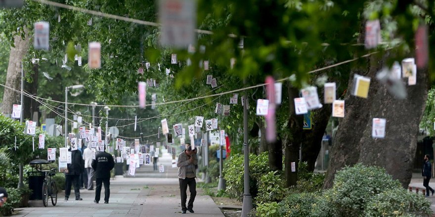 Ağaçlar kitap açacak