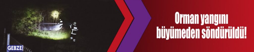 Orman yangını büyümeden söndürüldü!