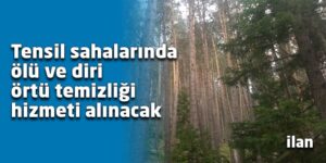 Tensil sahalarında ölü ve diri örtü temizliği hizmeti alınacak