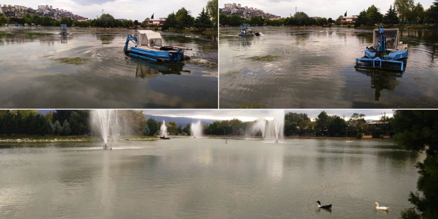 Fuar göletinden 15 kamyon yosun çıktı!