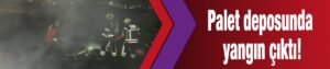 Palet deposunda yangın çıktı!