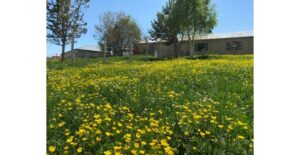 Babalar Gününün Kutlandığı Bu Hafta