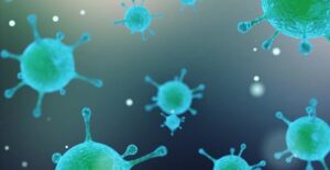 Bilim Insanları Kara Veba Salgınının 1338’De Kırgızistan’da Başladığını Tespit Etti