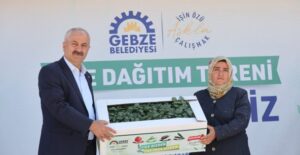 Büyükgöz’den; Gebzeli çiftçilere fide desteği