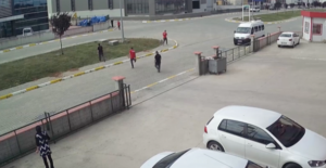 Kocaeli’de Köpeği Demir Çubukla Öldürmekle Suçlanan Kişi Gözaltına Alındı