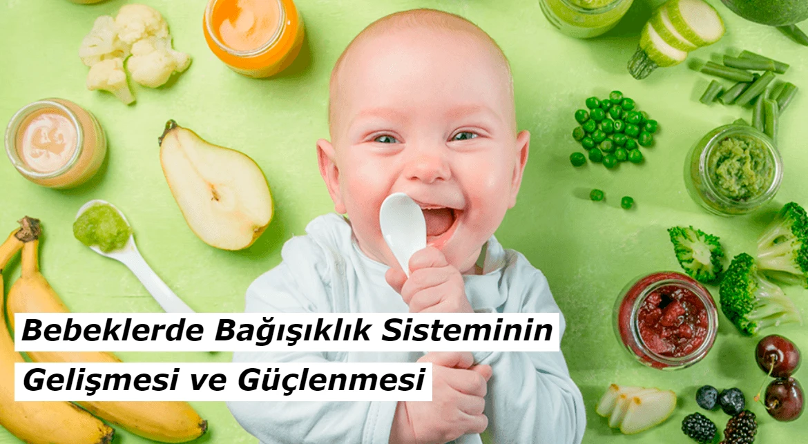 Bebeklerde Bağışıklık Sisteminin Gelişmesi ve Güçlenmesi